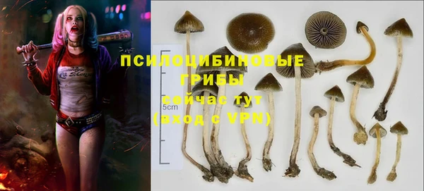 прущий лед Армянск
