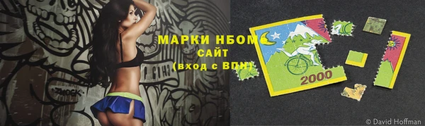 ГАЛЛЮЦИНОГЕННЫЕ ГРИБЫ Арсеньев