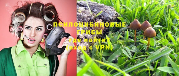ГАЛЛЮЦИНОГЕННЫЕ ГРИБЫ Арсеньев