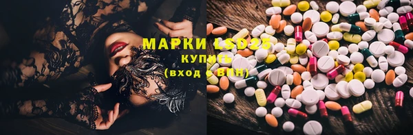 ГАЛЛЮЦИНОГЕННЫЕ ГРИБЫ Арсеньев