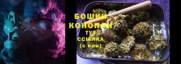ГАЛЛЮЦИНОГЕННЫЕ ГРИБЫ Арсеньев