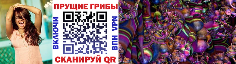 Псилоцибиновые грибы Psilocybine cubensis  Купить где  Вышний Волочёк 