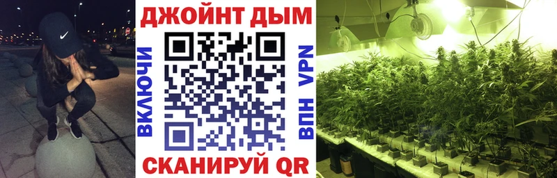 Каннабис семена  Купить  Вышний Волочёк 